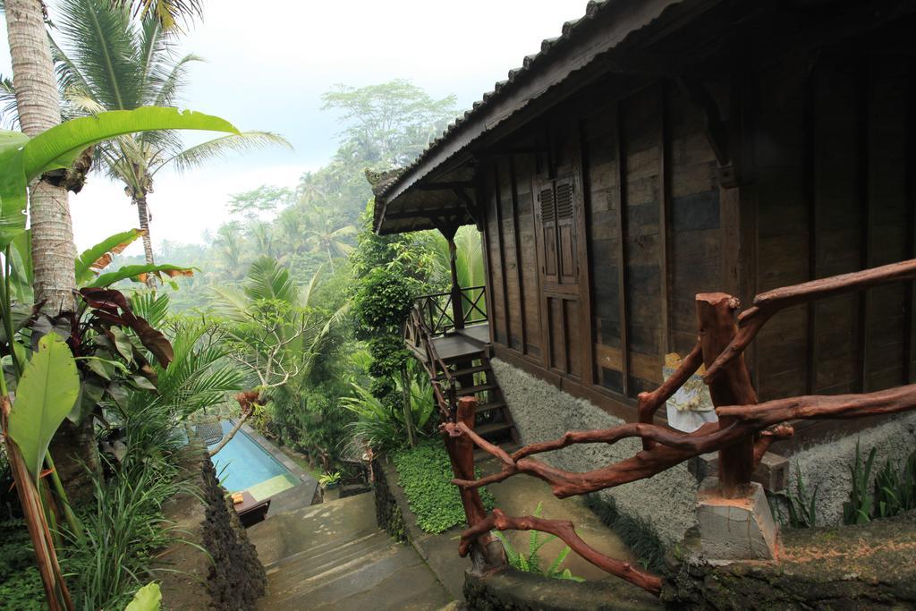Ubud Jungle Holy Water Exteriér fotografie